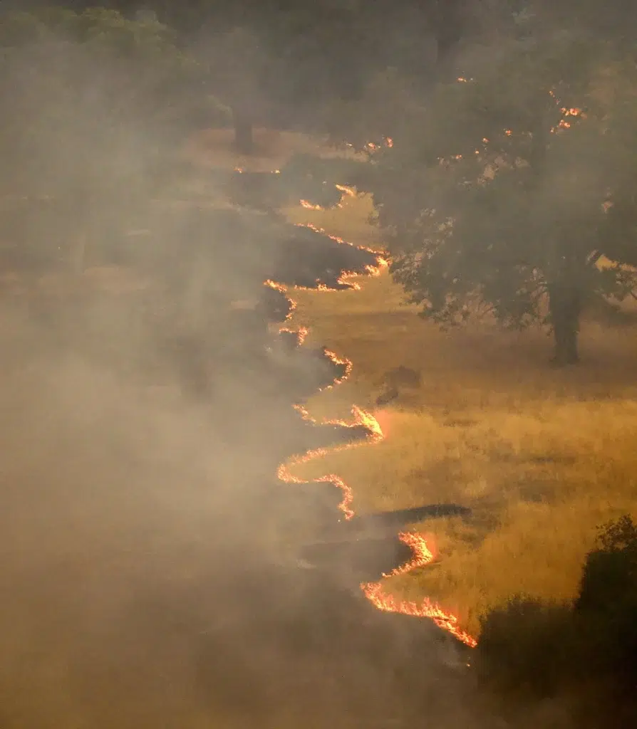 California wildfire documentary photography by Josh Edelson, AFP photojournalist