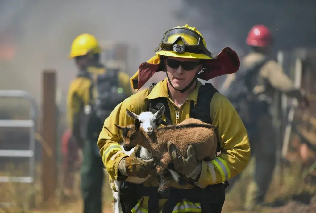 Firefighter, Marc Bashoor, Fire department, documentary photography by Josh Edelson/AFP