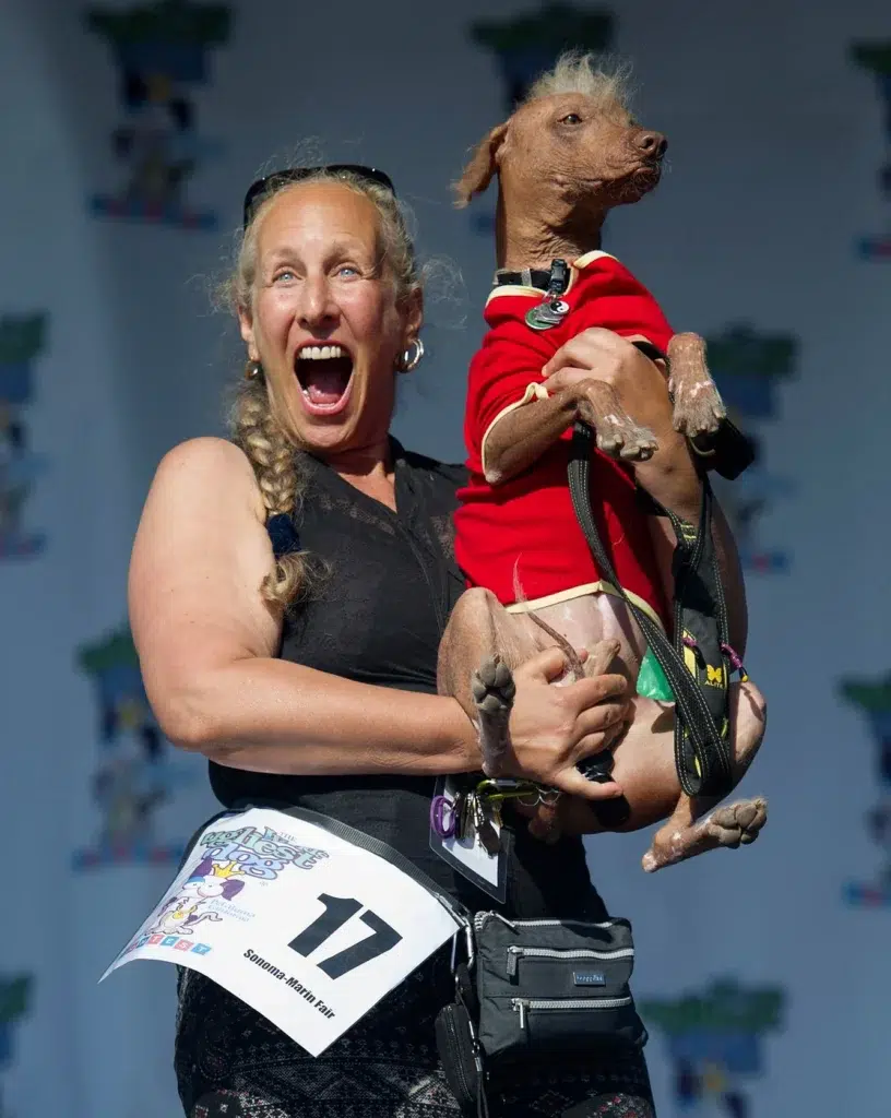 'Wild Thang' lives up to his name, wins World's Ugliest Dog contest, photo by Josh Edelson/AP
