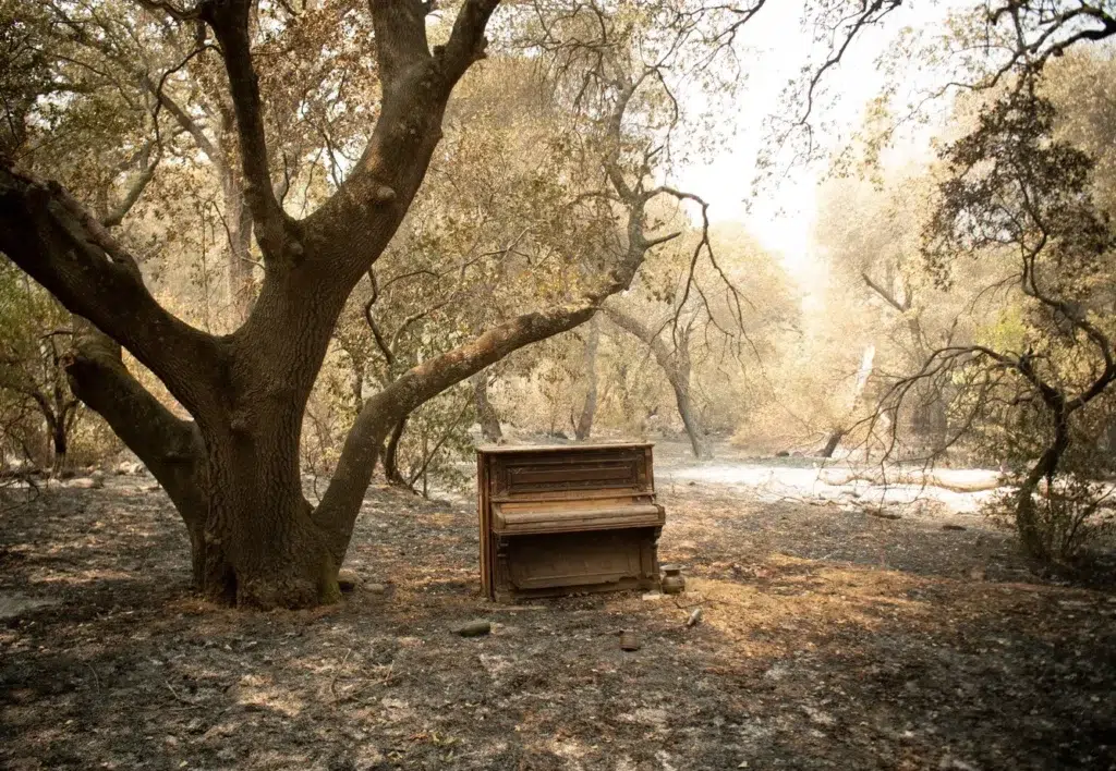 Scope of California Wildfires Is Staggering, photo by Josh Edelson/AFP