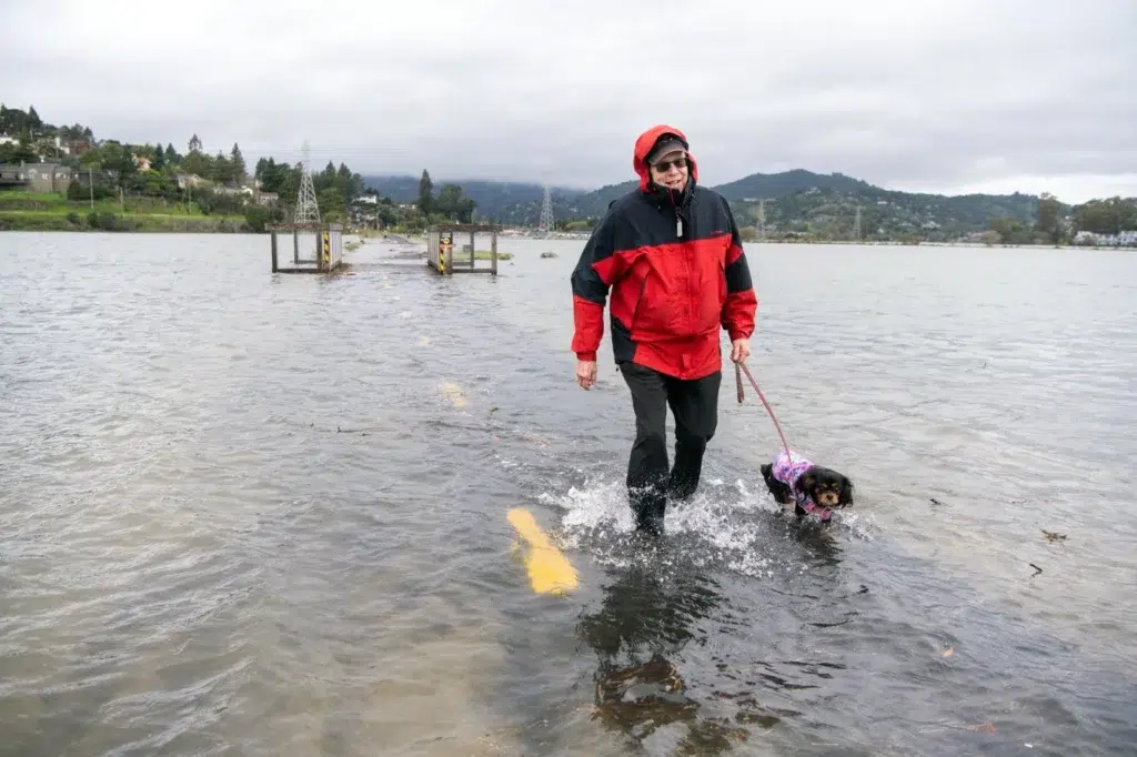 New Bay Area maps show hidden flood risk from sea level rise, photo by Josh Edelson/AFP