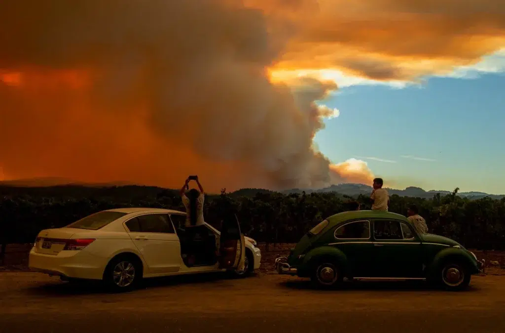 The Summer That Changed California Forever, photo by Josh Edelson/AFP
