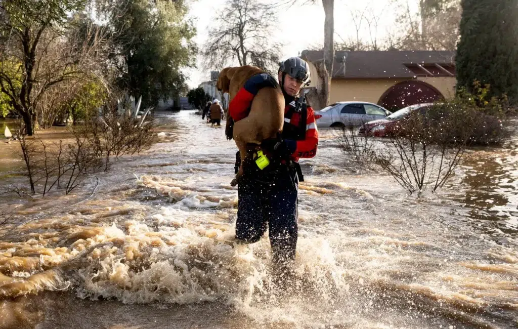 Unexpected flash floods in San Diego destroys homes, roads, photo by Josh Edelson/AFP