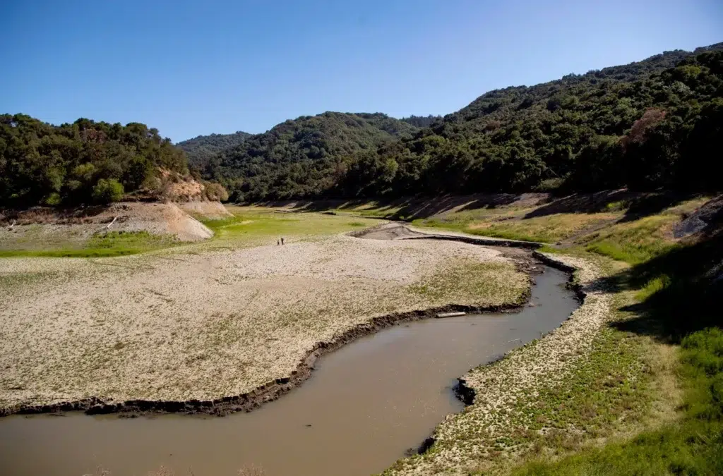 A problem Silicon Valley can't solve: water, photo by Josh Edelson/AFP