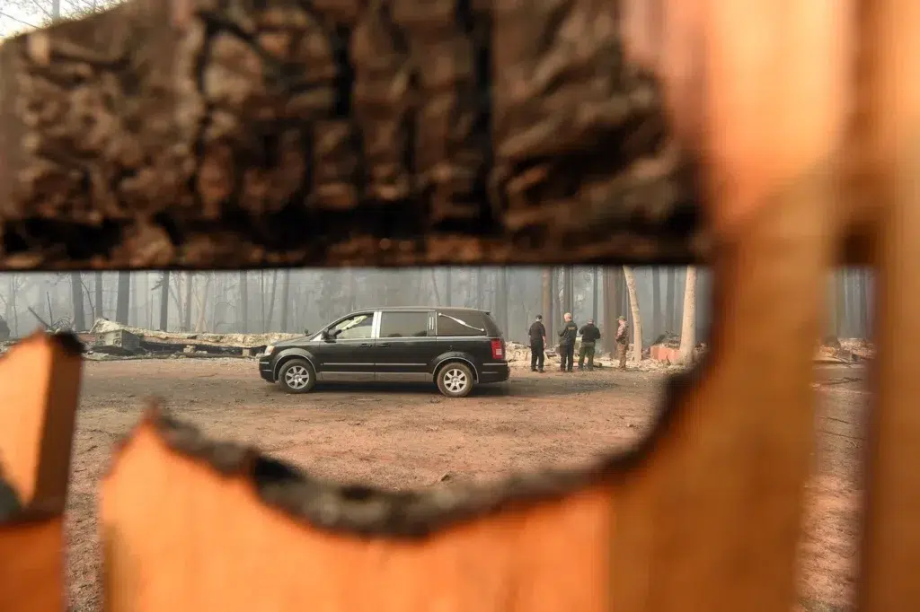 Family car, Sports car, 2024 Lexus TX, documentary photography by Josh Edelson/AFP