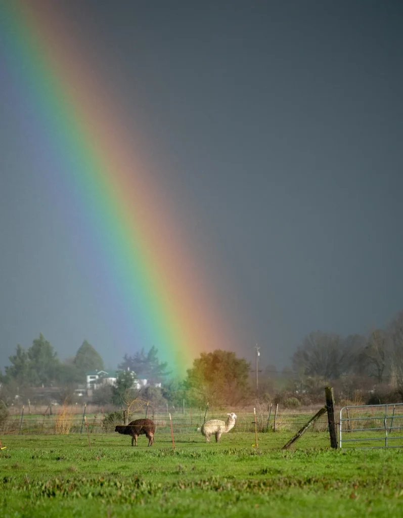 Rural area, Rainbow Shops, documentary photography by Josh Edelson/AFP
