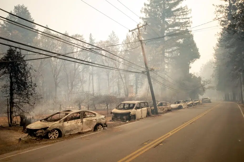 Despite fire after fire, Paradise continued to boom, photo by Josh Edelson/AFP
