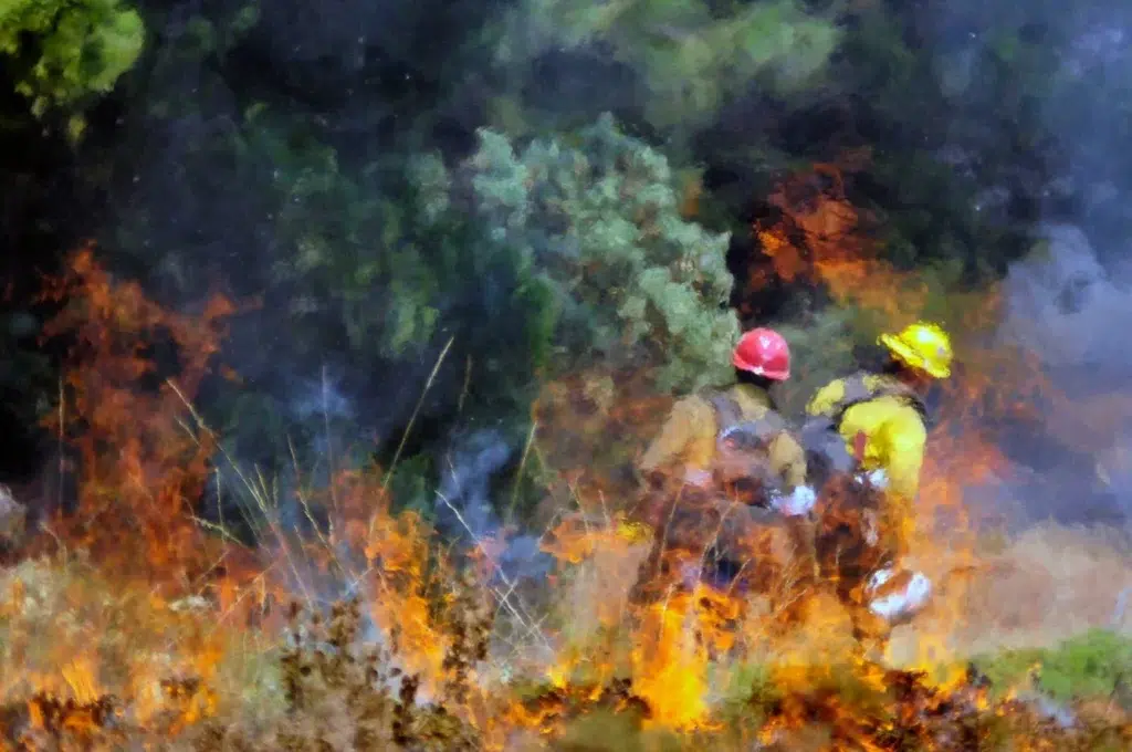 California wildfire documentary photography by Josh Edelson, AFP photojournalist