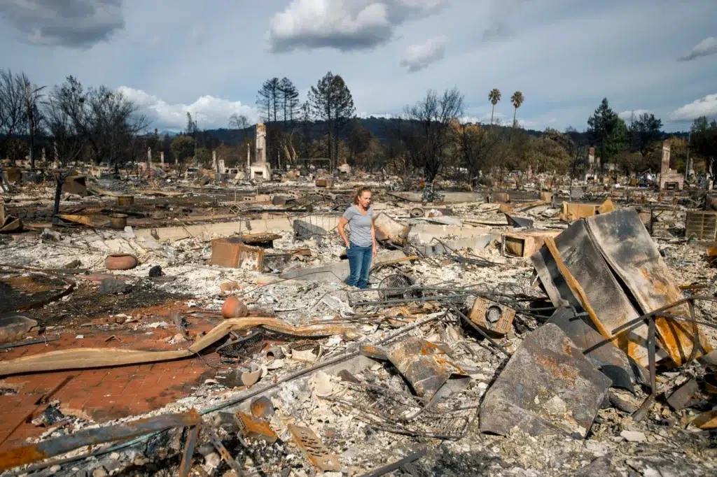 Los Angeles, Palisades Fire, January 2025 Southern California wildfires, documentary photography by Josh Edelson/AFP