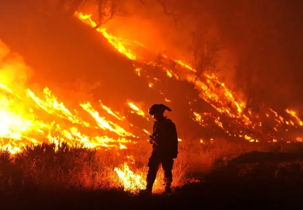 Why California's Wildfires Won't Be Getting Better Anytime Soon, photo by Josh Edelson/AFP