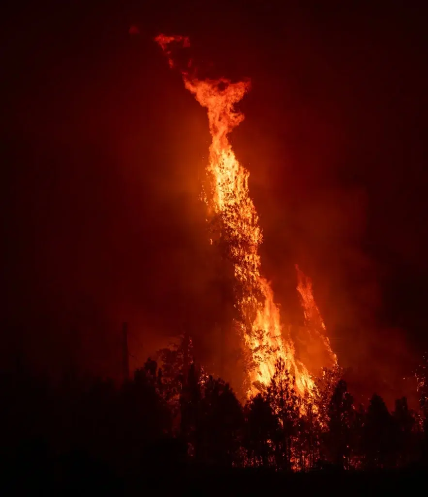 California wildfire documentary photography by Josh Edelson, AFP photojournalist