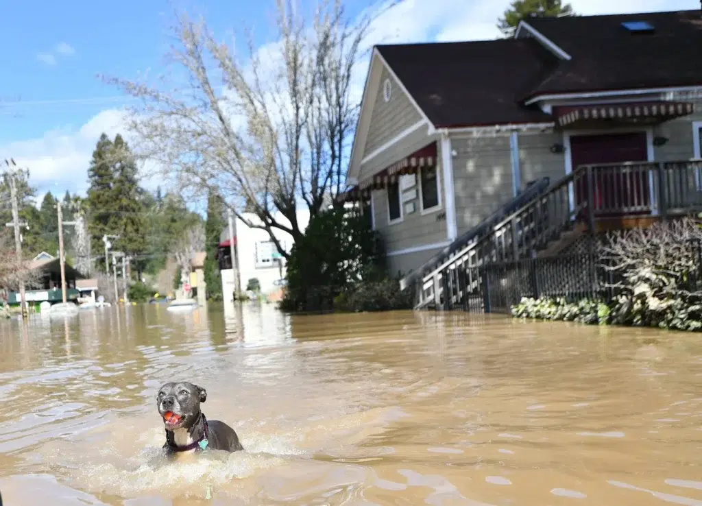 Flood and storm documentary photography by Josh Edelson, AFP photojournalist