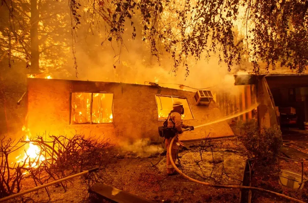 California Power Provider PG&E Files For Bankruptcy In Wake Of Wildfires, photo by Josh Edelson/AFP