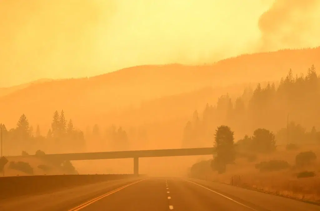 What is fog, and how does it form?, photo by Josh Edelson/AFP