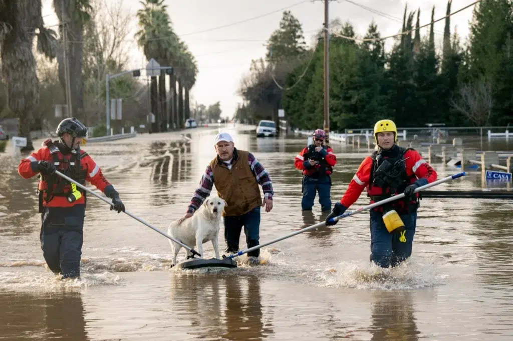 A canoe, a rope and a swimmer: Rescuing Californians stranded by floodwaters, photo by Josh Edelson/AFP