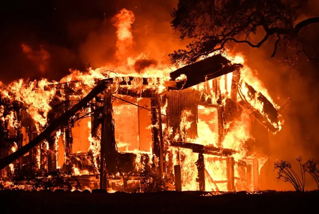 'My World Was Burning': The North Bay Fires and What Went Wrong, photo by Josh Edelson/AFP