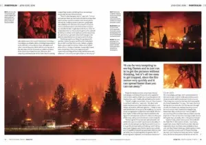 A California wildfire photographed by Josh Edelson (the charred aftermath of a California wildfire)