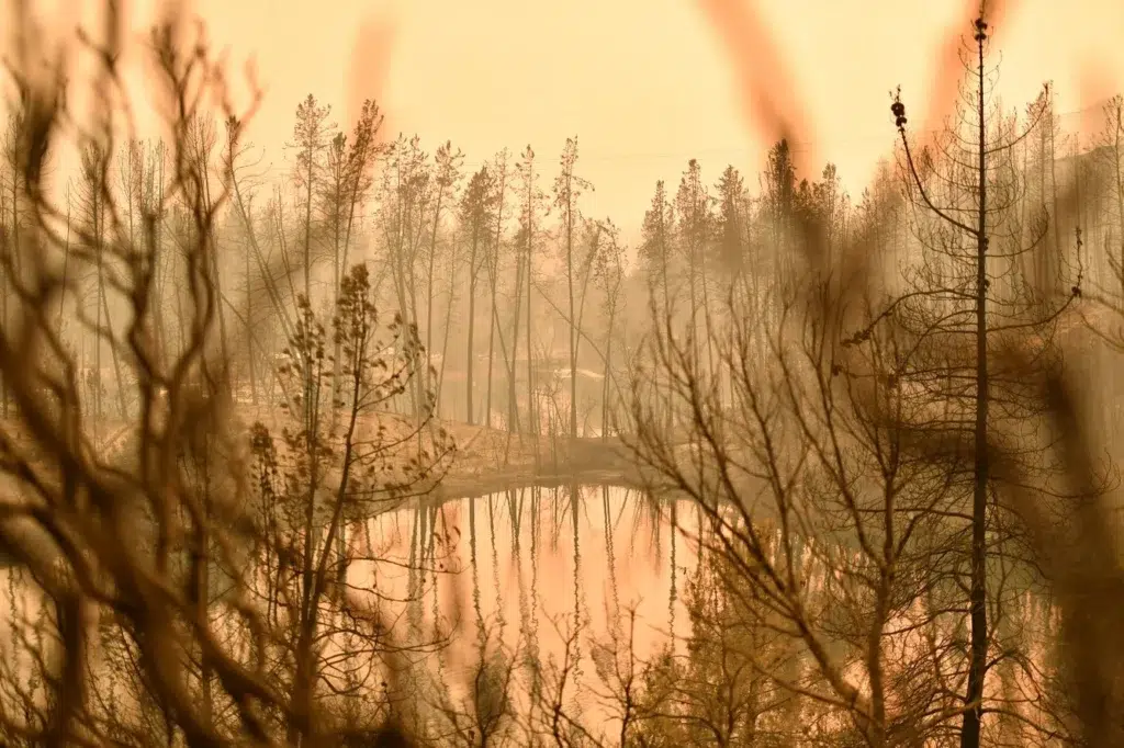 California wildfire documentary photography by Josh Edelson, AFP photojournalist