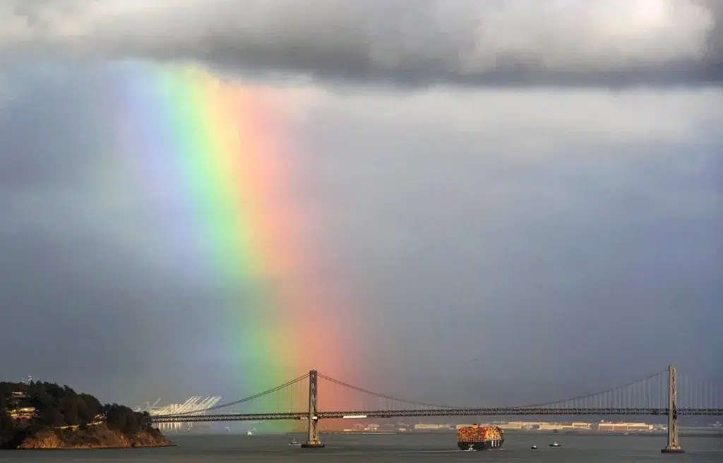 Suspension bridge, Cable-stayed bridge, Self-anchored suspension bridge, documentary photography by Josh Edelson/AFP