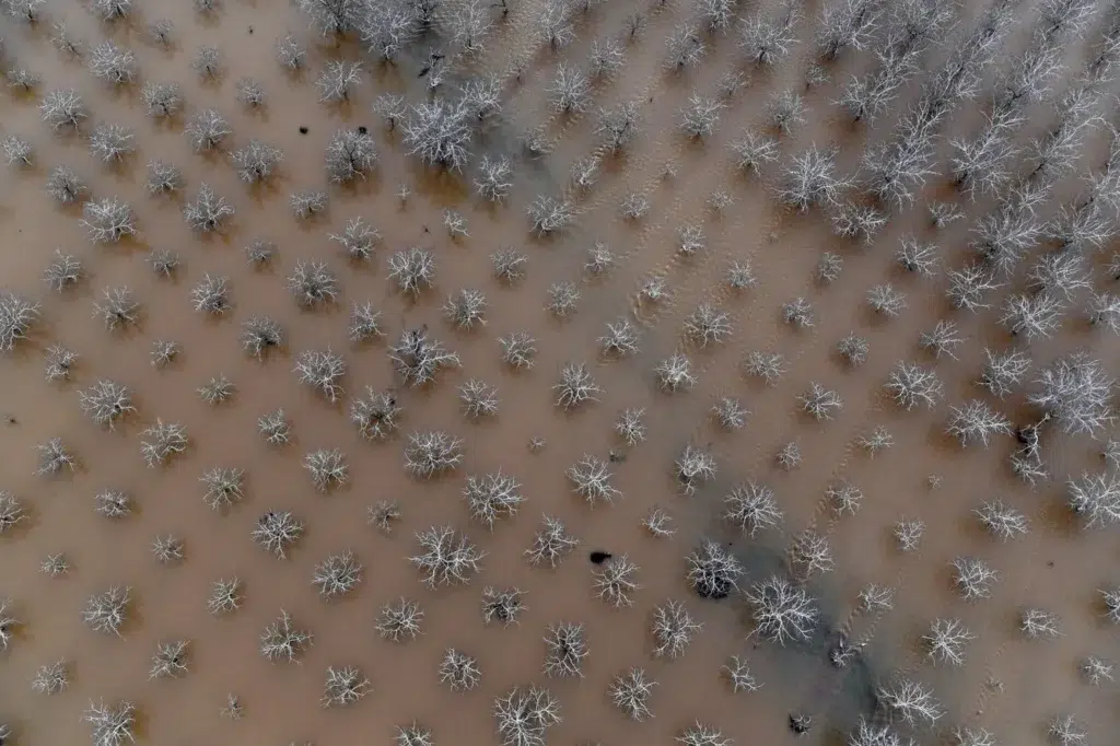 Woven fabric, Plain weave, Knitted fabric, documentary photography by Josh Edelson/AFP