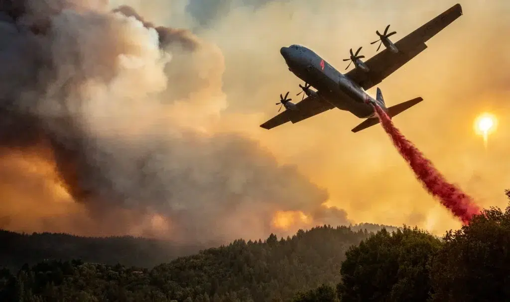 California's wildfires explained: how did they start, and is this normal?, photo by Josh Edelson/AFP