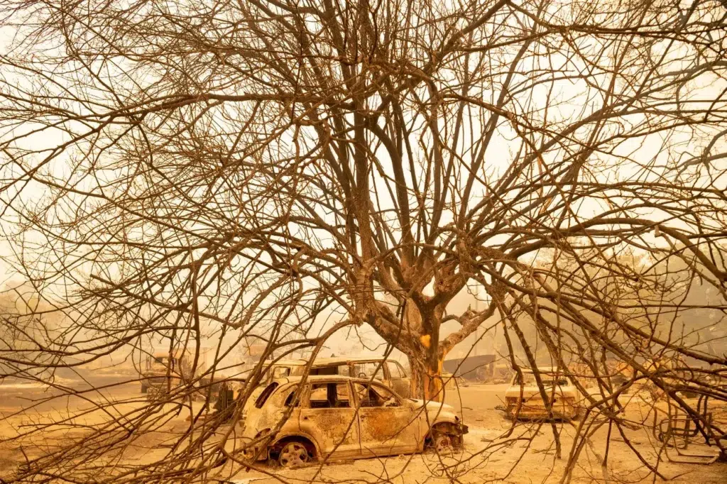 California wildfire documentary photography by Josh Edelson, AFP photojournalist