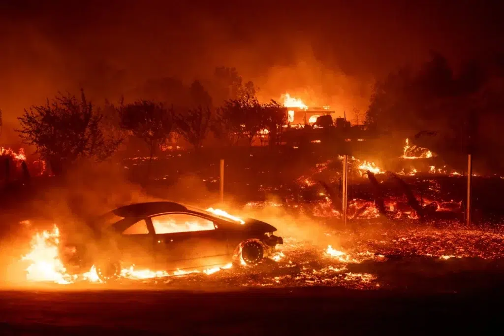 Last day in Paradise: the untold story of how a fire swallowed a town, photo by Josh Edelson/AFP