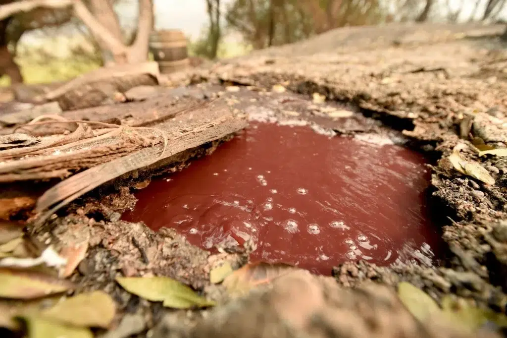 List of wineries damaged in the Wine Country fires [Updates], photo by Josh Edelson/AFP
