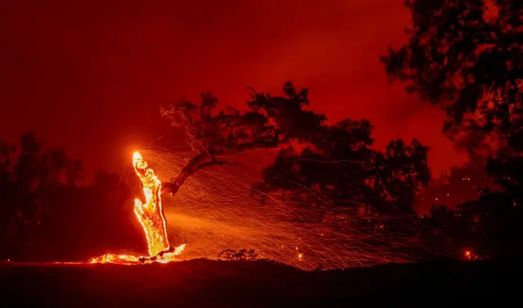 California wildfire documentary photography by Josh Edelson, AFP photojournalist