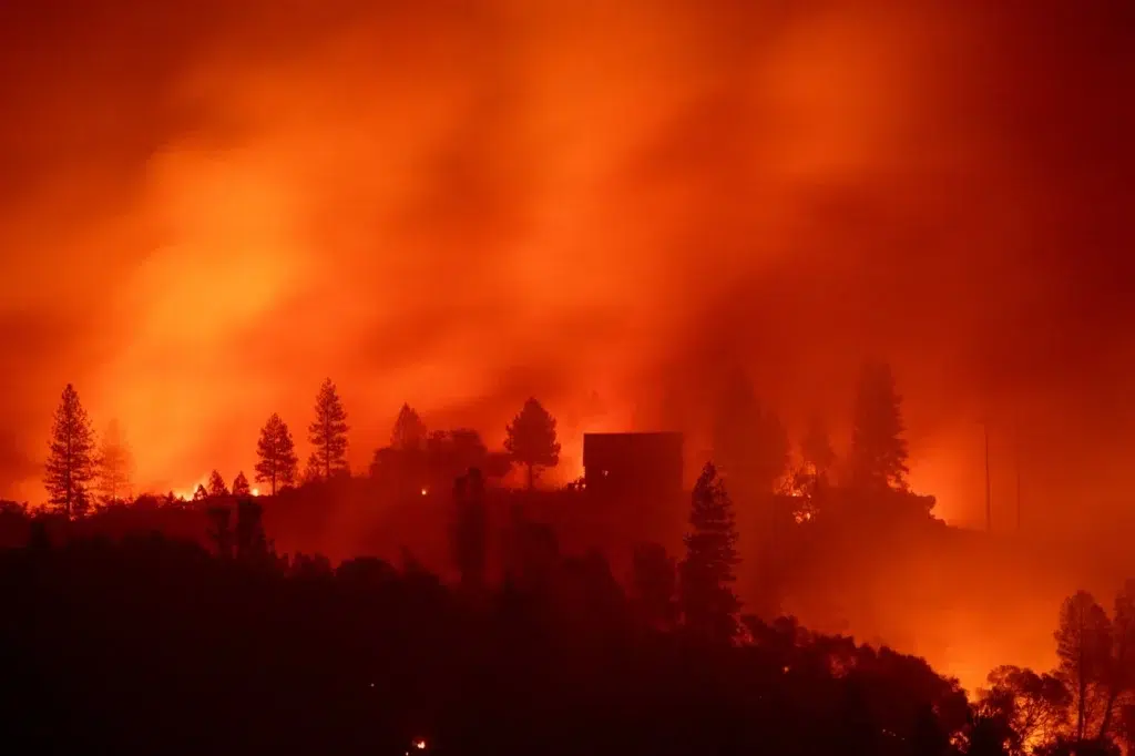 California wildfires: Fears of further damage as winds strengthen, photo by Josh Edelson/AFP