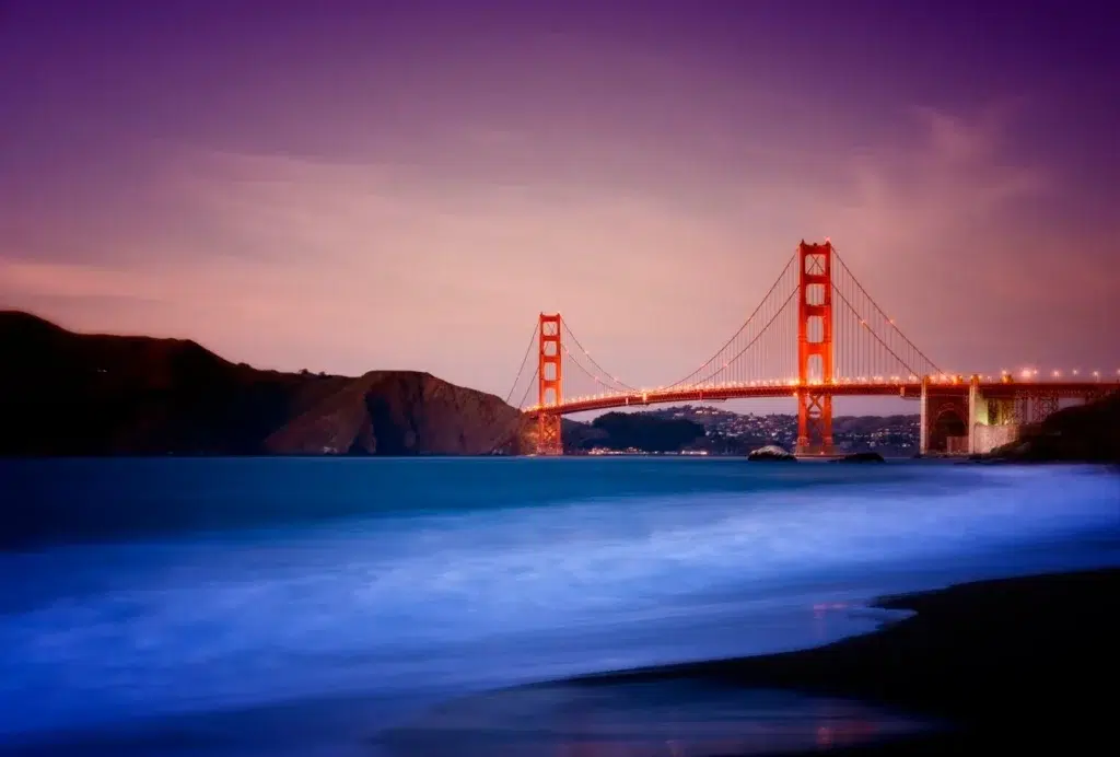 Suspension bridge, Cable-stayed bridge, Girder bridge, documentary photography by Josh Edelson/AFP