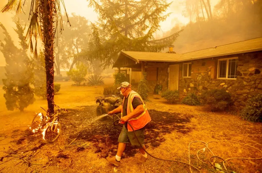 Some of the most startling images of wildfires raging through ..., photo by Josh Edelson/AFP