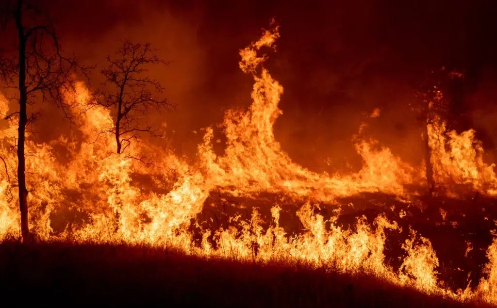 Carr Fire, Woolsey Fire, documentary photography by Josh Edelson/AFP