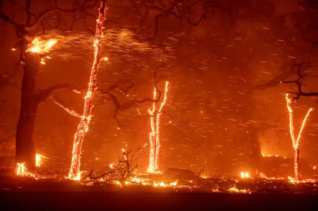 Climate Change Contributing to Weather Catastrophes 'Right Now', photo by Josh Edelson/AFP