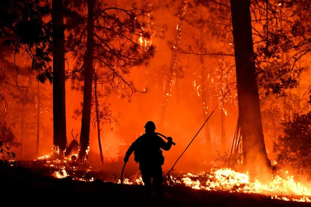 How Artificial Intelligence Is Helping to Fight Wildfires, photo by Josh Edelson/AFP