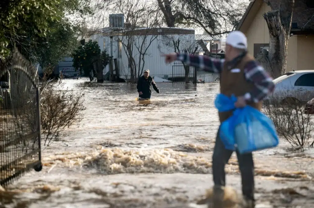 Coffee is in danger. Starbucks is working on solutions, photo by Josh Edelson/AFP