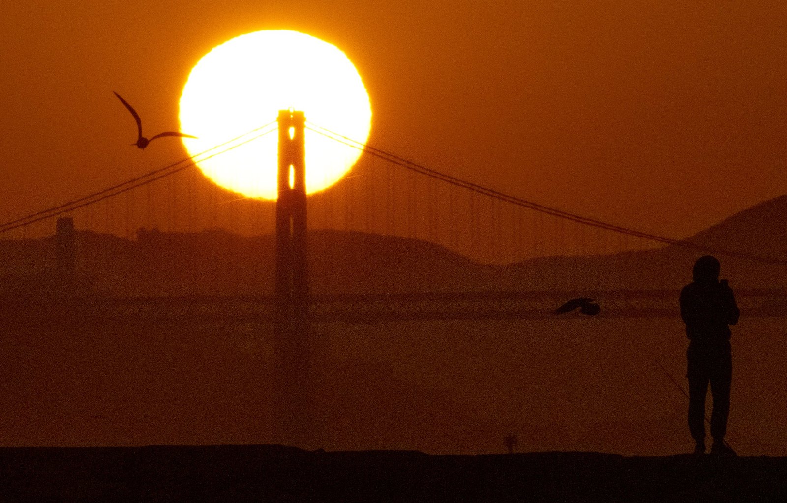Sunrise Golden Gate Bridge Photographer Josh Edelson.jpg