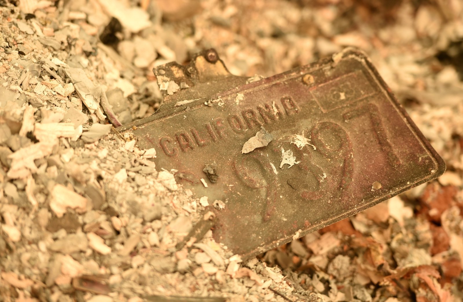 A California license plate is seen partially buried in a pile of ash at a burned residence after the Camp fire tore through the region in Paradise, California on November 12, 2018. (Josh Edelson / AFP)